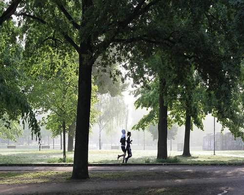 man jogging in outdoor park physical activity